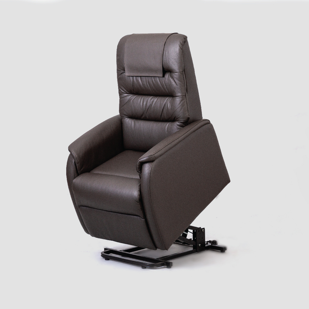 Lift Up Chair with Electric Adjustable Function - Genuine Leather/PVC ...